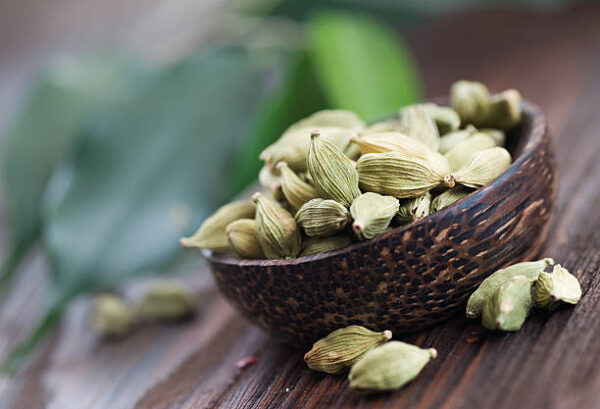 Cardamon spices.selective focus.